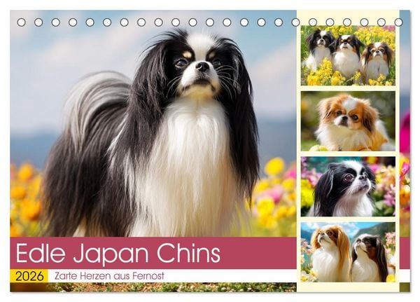 Edle Japan Chins. Zarte Herzen aus Fernost (Tischkalender 2026 DIN A5 quer), CALVENDO Monatskalender