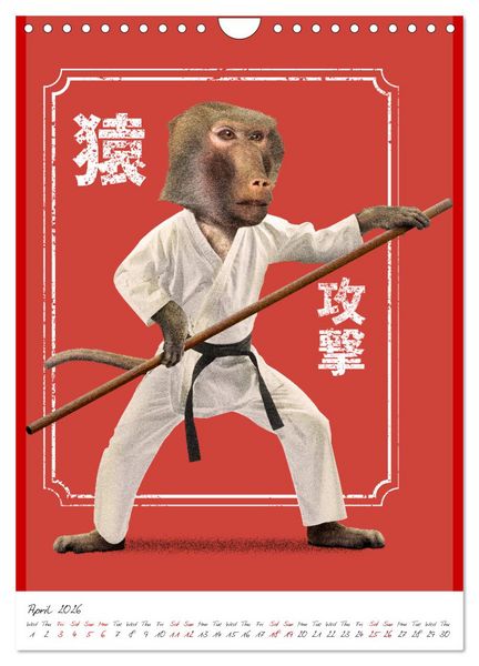 Produktbild: Crazy animal fighters (Wall Calendar 2026 DIN A4 portrait), CALVENDO 12 Month Wall Calendar