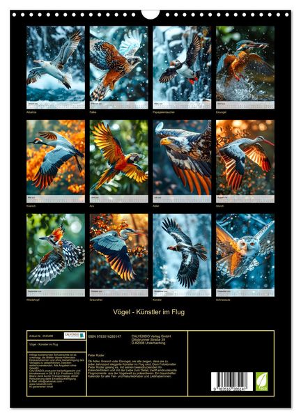 Produktbild: V&ouml;gel - K&uuml;nstler im Flug (Wandkalender 2026 DIN A3 hoch), CALVENDO Monatskalender