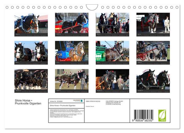 Produktbild: Shire Horse &bull; Prunkvolle Giganten (Wandkalender 2026 DIN A4 quer), CALVENDO Monatskalender