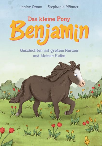 Produktbild: Das kleine Pony Benjamin