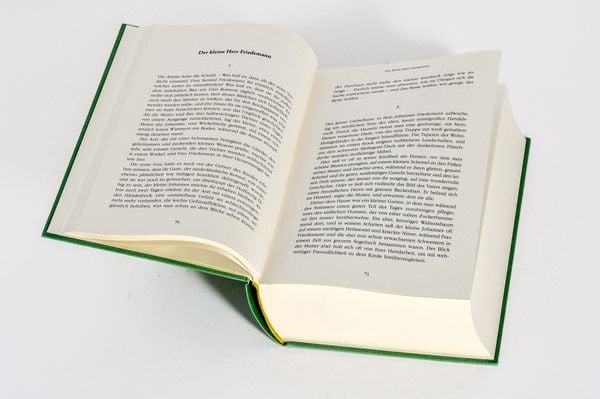 Produktbild: Thomas Mann, Gesammelte Werke: Die Erz&auml;hlungen