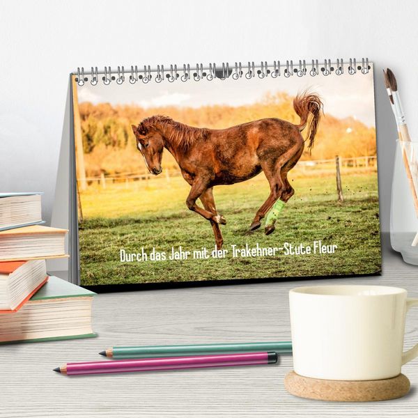 Produktbild: Durch das Jahr mit der Trakehner-Stute Fleur (Tischkalender 2026 DIN A5 quer), CALVENDO Monatskalender