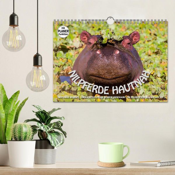 Produktbild: Emotionale Momente: Nilpferde hautnah (Wandkalender 2026 DIN A4 quer), CALVENDO Monatskalender
