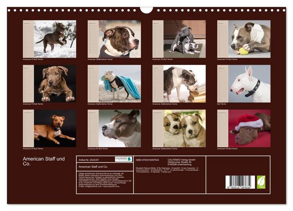 Produktbild: American Staff und Co. (Wandkalender 2026 DIN A3 quer), CALVENDO Monatskalender