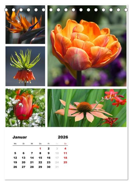 Produktbild: Bl&uuml;ten Collagen (Tischkalender 2026 DIN A5 hoch), CALVENDO Monatskalender