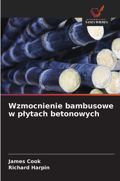 Produktbild: Wzmocnienie bambusowe w p&iquest;ytach betonowych