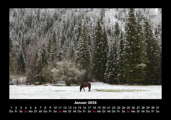 Produktbild: Die Welt der Pferde 2026 Fotokalender DIN A3