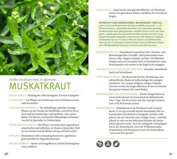 Produktbild: Kräuter