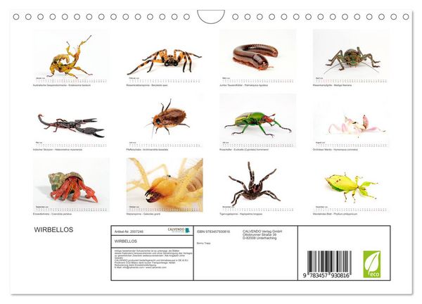 Produktbild: WIRBELLOS (Wandkalender 2026 DIN A4 quer), CALVENDO Monatskalender