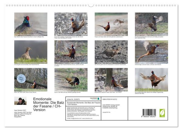 Produktbild: Emotionale Momente: Die Balz der Fasane / CH-Version (hochwertiger Premium Wandkalender 2026 DIN A2 quer), Kunstdruck in Hochglanz