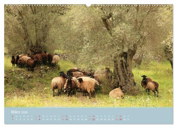 Produktbild: Lesbos - Inselimpressionen (hochwertiger Premium Wandkalender 2026 DIN A2 quer), Kunstdruck in Hochglanz