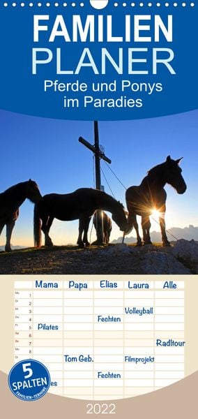 Produktbild: Familienplaner Pferde und Ponys im Paradies (Wandkalender 2022 , 21 cm x 45 cm, hoch)