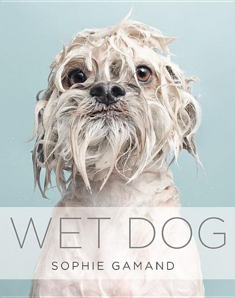 Produktbild: Wet Dog