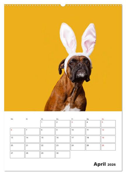 Produktbild: colorful world of boxer 2026 (Wandkalender 2026 DIN A2 hoch), CALVENDO Monatskalender
