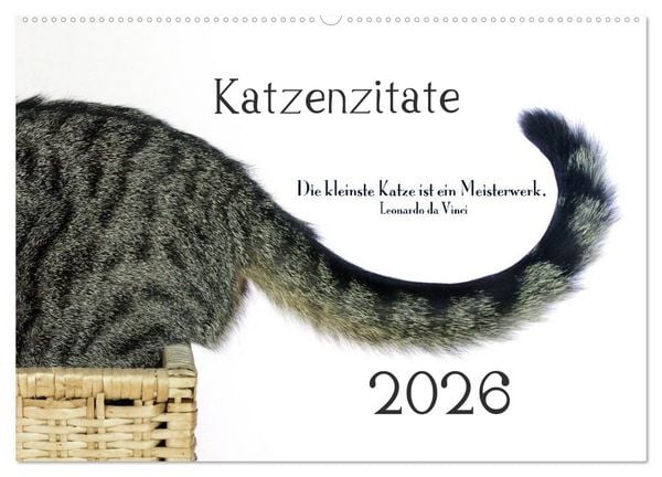 Katzenzitate 2026 (Wandkalender 2026 DIN A2 quer), CALVENDO Monatskalender
