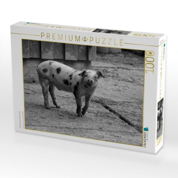 Produktbild: CALVENDO Puzzle Gl&uuml;ckliches Bentheimer Ferkel | 1000 Teile Lege-Gr&ouml;&szlig;e 64x48cm Foto-Puzzle f&uuml;r gl&uuml;ckliche Stunden