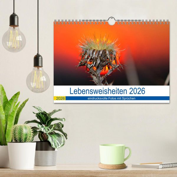 Produktbild: Lebensweisheiten 2026 (Wandkalender 2026 DIN A4 quer), CALVENDO Monatskalender