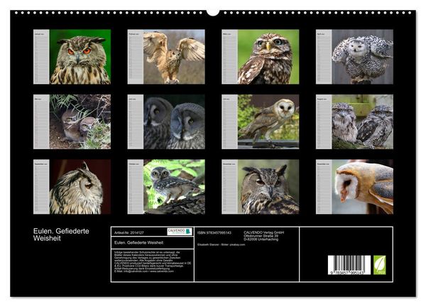 Produktbild: Eulen. Gefiederte Weisheit (hochwertiger Premium Wandkalender 2026 DIN A2 quer), Kunstdruck in Hochglanz