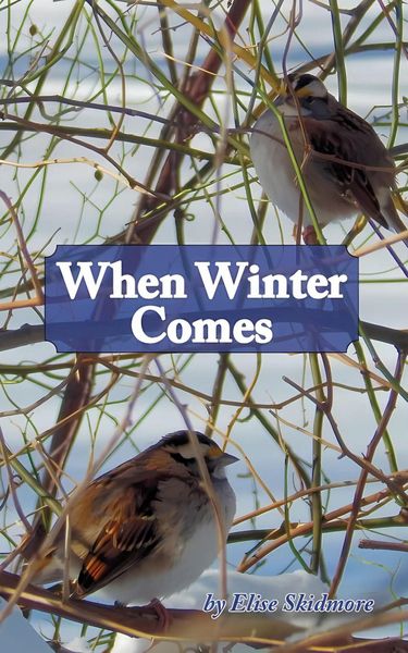 Produktbild: When Winter Comes