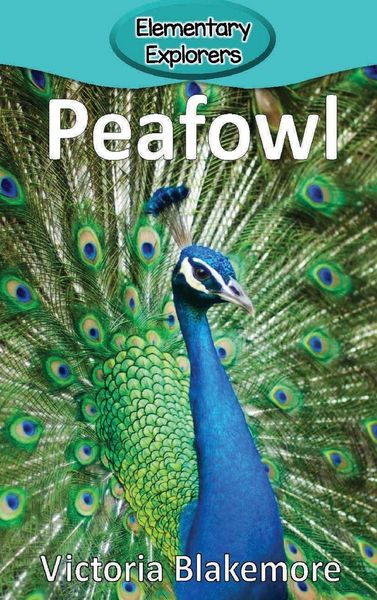 Produktbild: Peafowl