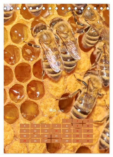 Produktbild: Gesch&auml;ftig wie im Bienenstock (Tischkalender 2026 DIN A5 hoch), CALVENDO Monatskalender