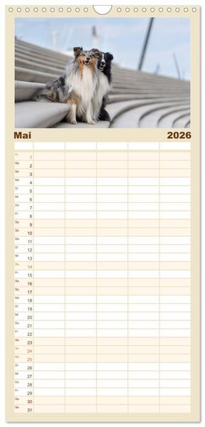 Produktbild: Familienplaner 2026 - Hunde in der City - Unterwegs in Hamburg mit 5 Spalten (Wandkalender, 21 x 45 cm) CALVENDO