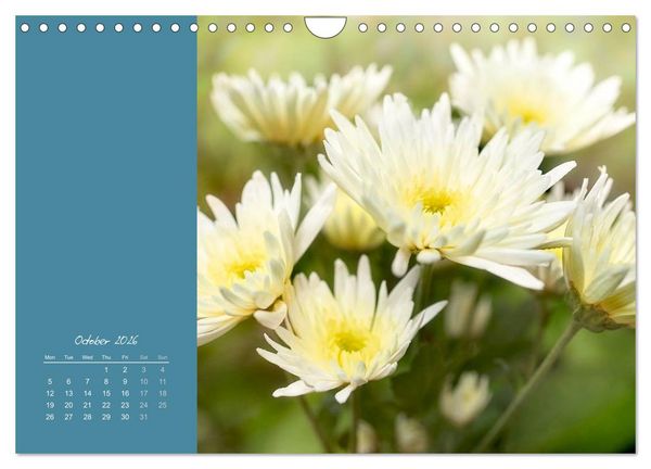 Produktbild: Vibrancy of flowers (Wall Calendar 2026 DIN A4 landscape), CALVENDO 12 Month Wall Calendar