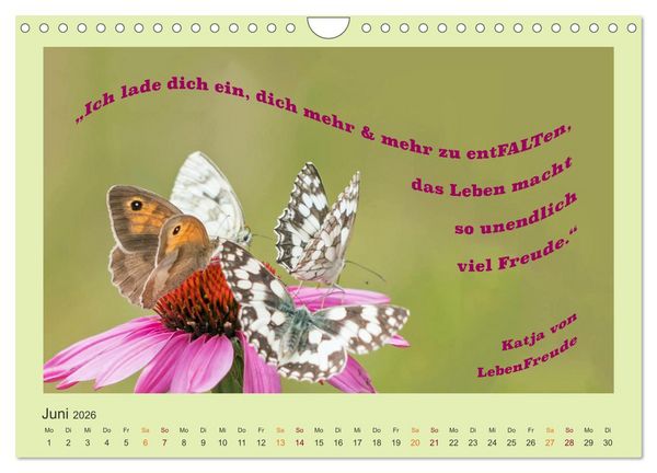 Produktbild: Co-Kreation, Gemeinsam Wunder erschaffen (Wandkalender 2026 DIN A4 quer), CALVENDO Monatskalender