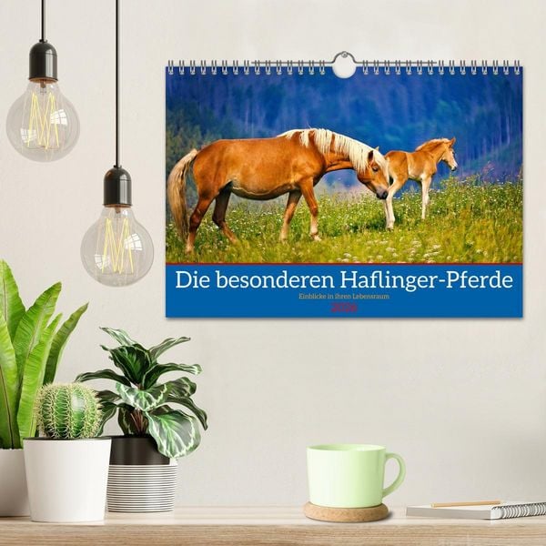 Produktbild: Die besonderen Haflinger-Pferde (Wandkalender 2026 DIN A4 quer), CALVENDO Monatskalender