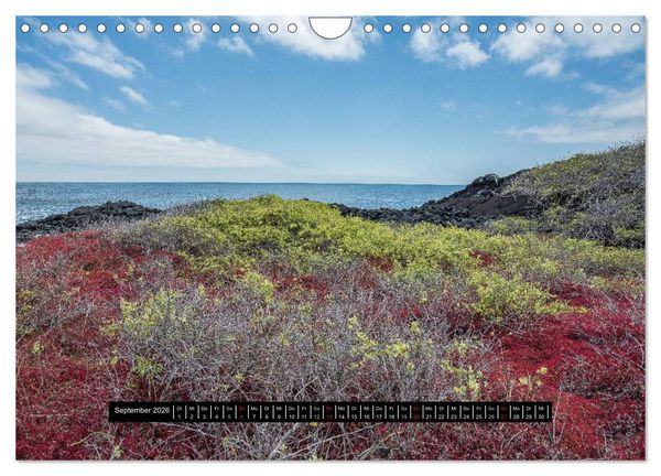 Produktbild: Galapagos- Landschaften (Wandkalender 2026 DIN A4 quer), CALVENDO Monatskalender