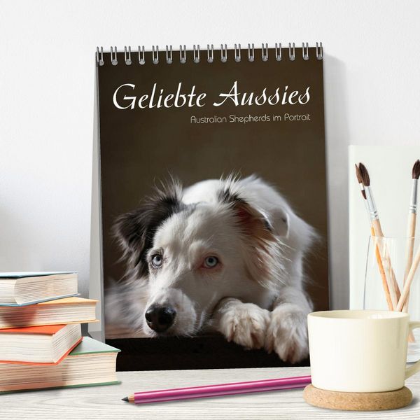 Produktbild: Geliebte Aussies - Australian Shepherds im Portrait (Tischkalender 2026 DIN A5 hoch), CALVENDO Monatskalender