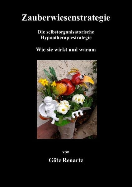 Produktbild: Zauberwiesenstrategie - Wie sie wirkt und warum