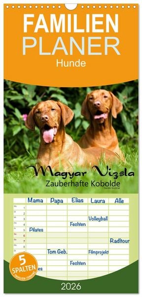 Produktbild: Familienplaner 2026 - Magyar Vizsla - Zauberhafte Kobolde mit 5 Spalten (Wandkalender, 21 x 45 cm) CALVENDO