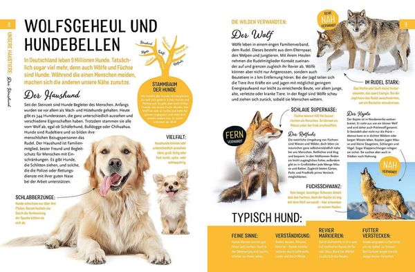 Produktbild: Heimische Tiere und ihre wilden Verwandten
