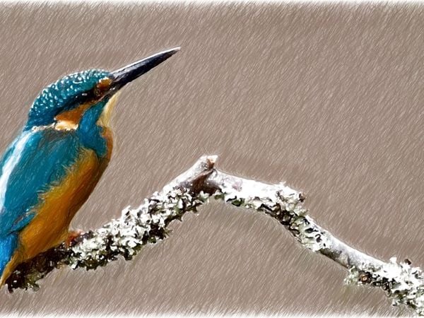 Produktbild: CALVENDO Puzzle Eisvogel | 1000 Teile Lege-Gr&ouml;&szlig;e 64x48cm Foto-Puzzle f&uuml;r gl&uuml;ckliche Stunden