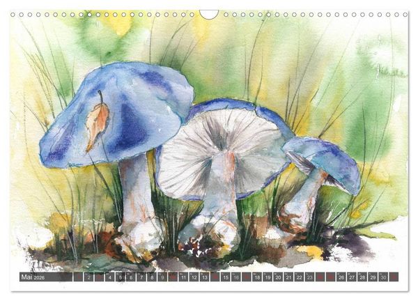 Produktbild: Pilze in Aquarell (Wandkalender 2026 DIN A3 quer), CALVENDO Monatskalender