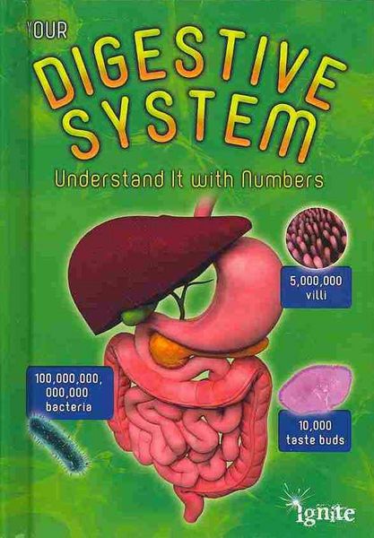 Produktbild: Your Digestive System