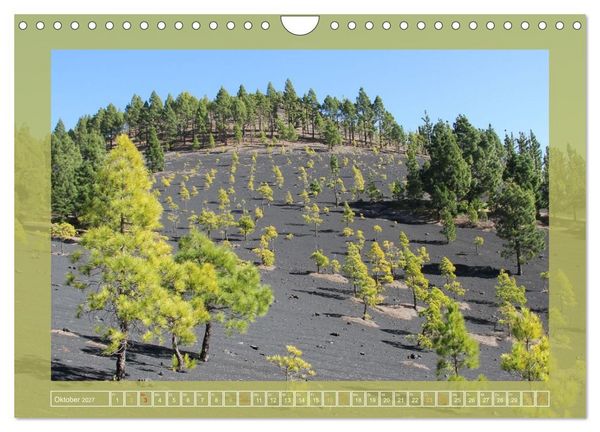 Produktbild: Wundersame Kanarenflora (Wandkalender 2027 DIN A4 quer), CALVENDO Monatskalender