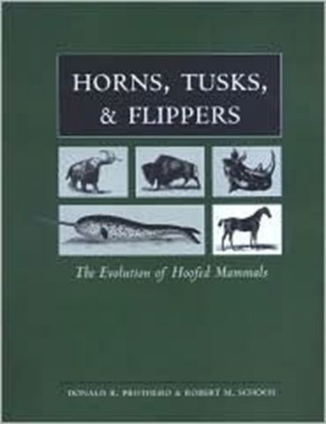 Produktbild: Horns, Tusks, and Flippers