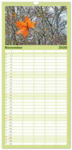 Produktbild: Familienplaner 2026 - Die Sch&ouml;nheit der Jahreszeiten, Sehnsucht nach Farbe und Leichtigkeit mit 5 Spalten (Wandkalender, 21 x 45 cm) CALVENDO