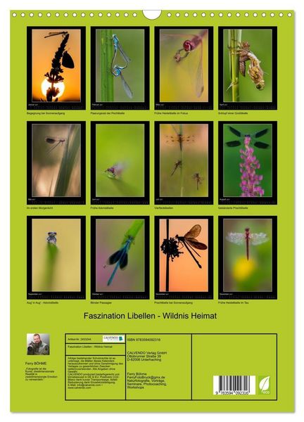 Produktbild: Faszination Libellen - Wildnis Heimat (Wandkalender 2027 DIN A3 hoch), CALVENDO Monatskalender