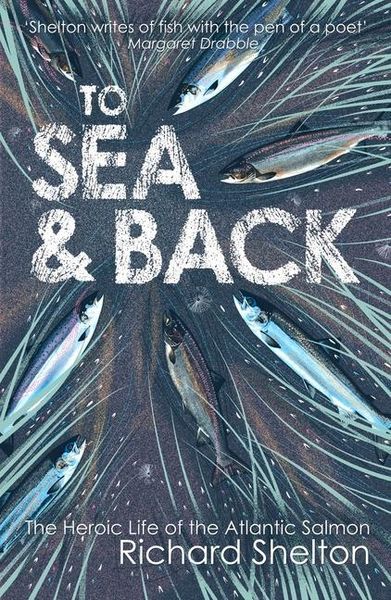 Produktbild: To Sea & Back