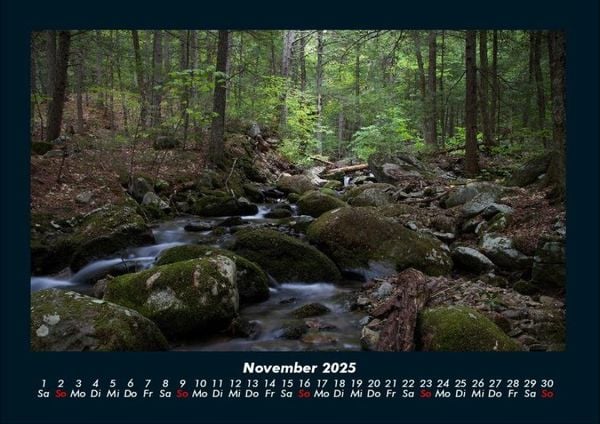 Produktbild: Bilder aus der Natur 2025 Fotokalender DIN A4