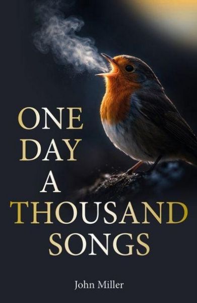 Produktbild: One Day a Thousand Songs