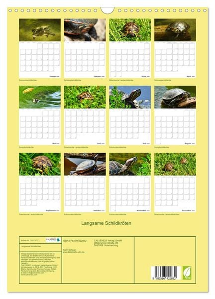 Produktbild: Langsame Schildkr&ouml;ten (Wandkalender 2026 DIN A3 hoch), CALVENDO Monatskalender