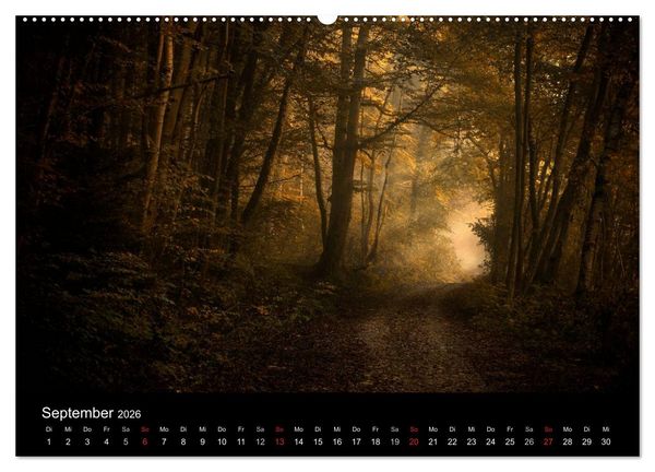 Produktbild: Mysterium Wald (hochwertiger Premium Wandkalender 2026 DIN A2 quer), Kunstdruck in Hochglanz