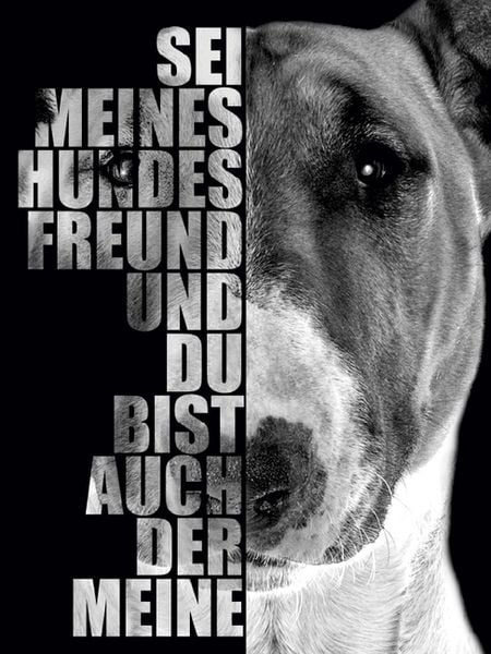 Produktbild: Bullterrier (Puzzle)