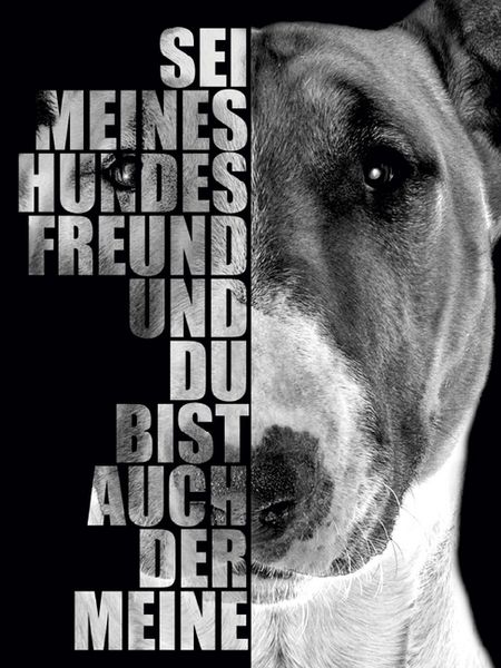 Produktbild: CALVENDO Puzzle Bullterrier 1000 Teile Puzzle hoch | 1000 Teile Lege-Gr&ouml;&szlig;e 64 &times; 48 cm Foto-Puzzle f&uuml;r gl&uuml;ckliche Stunden