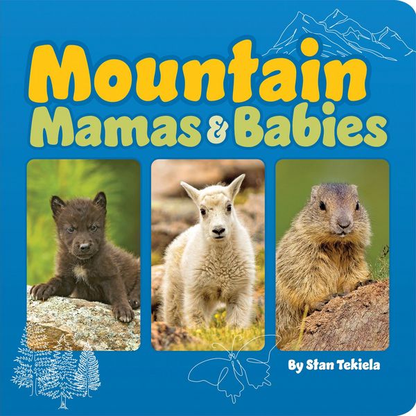 Produktbild: Mountain Mamas & Babies
